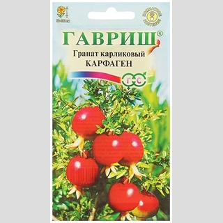 Гранат Карфаген