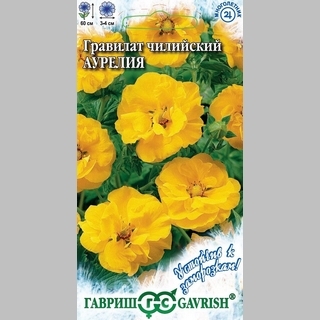 Гравилат Аурелия чилийский