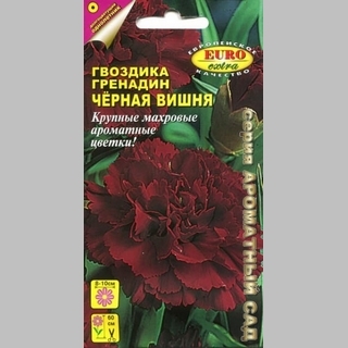 Гвоздика Чёрная вишня (Гренадин)