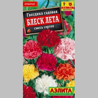 Гвоздика Блеск лета смесь (садовая)