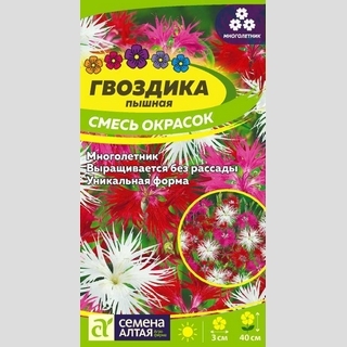 Гвоздика Пышная смесь