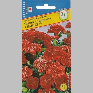 Гвоздика Лилипот Скарлет F1 (садовая)