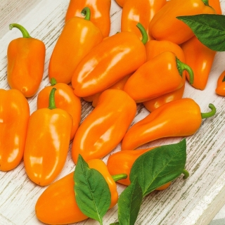 Перец Ханни Оранж F1