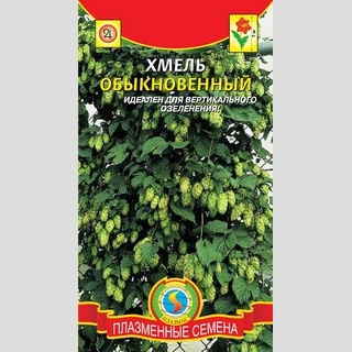 Хмель обыкновенный