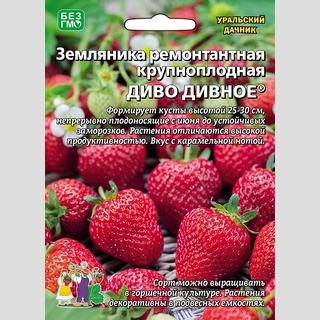 Земляника Диво дивное ремонтантная (большой пакет)