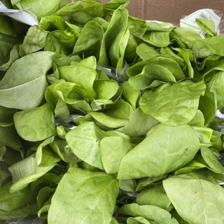 Щавель Вайд F1 (большой пакет)