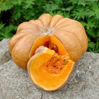 Тыква Мини Мускат F1