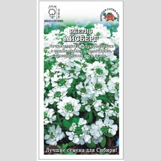 Иберис Айсберг горький