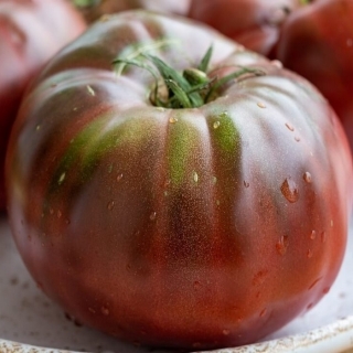 Томат БыС 6 (Коричнево-малиновый)