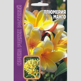 Плюмерия Манго (большой пакет)