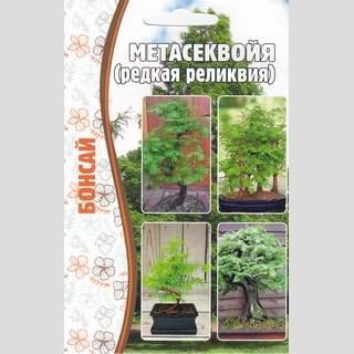Метасеквойя (большой пакет)
