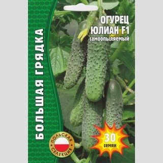 Огурец Юлиан F1 (большой пакет)