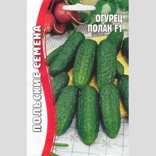 Огурец Полан F1 (большой пакет)