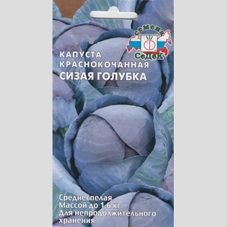 Капуста Сизая голубка