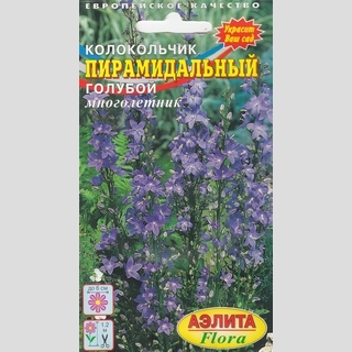 Колокольчик пирамидальный голубой
