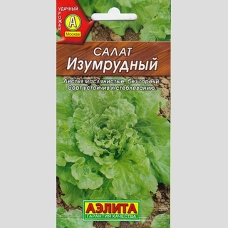 Салат Изумрудный (листовой)