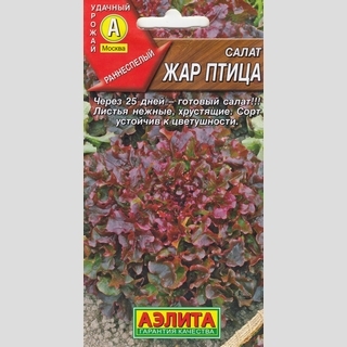 Салат Жар птица (листовой)