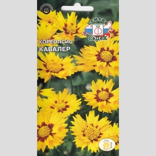 Кореопсис Кавалер