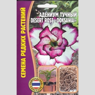 Адениум Doksawai (тучный) (большой пакет)