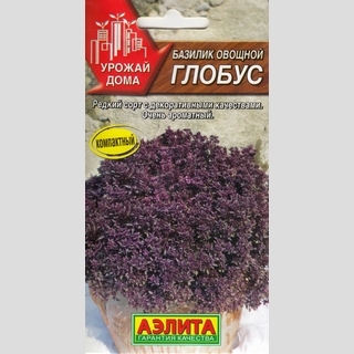 Базилик Глобус