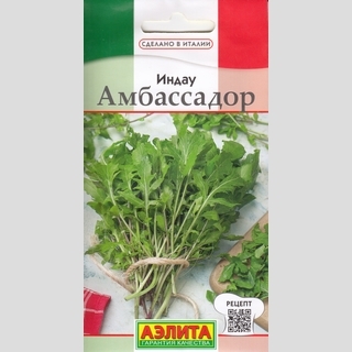 Индау Амбассадор (руккола)