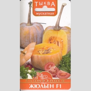 Тыква Жюльен F1 мускатная