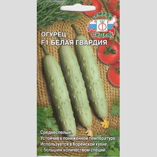 Огурец Белая Гвардия F1