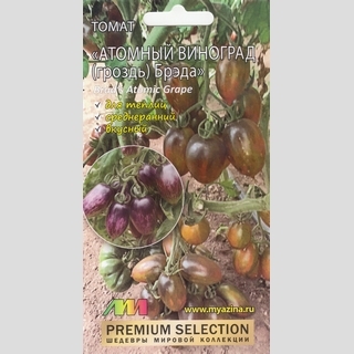 Томат Атомный виноград Брэда