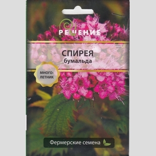 Спирея Бумальда (большой пакет)