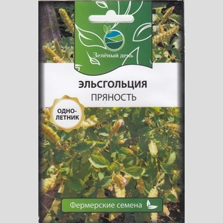 Эльсгольция Пряность (большой пакет)