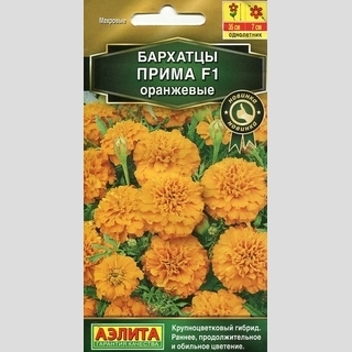 Бархатцы Прима F1 Оранжевые
