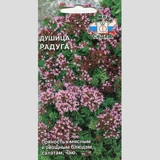 Душица Радуга