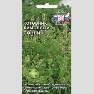 Котовник Сонник (лимонный)