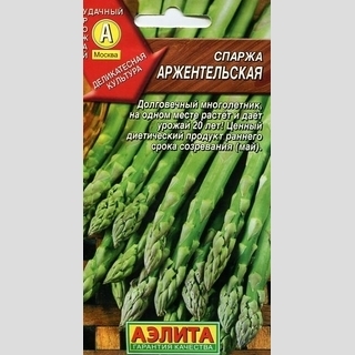 Спаржа Аржентельская