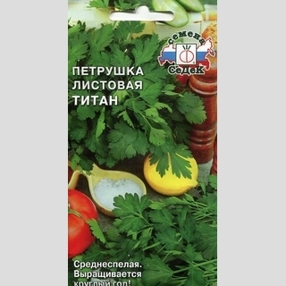 Петрушка листовая Титан