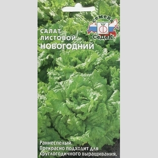 Салат Новогодний листовой