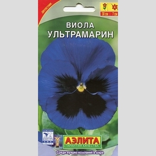 Виола Ультрамарин