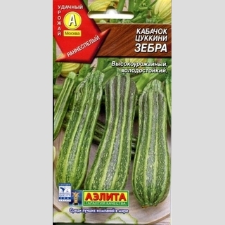 Кабачок Зебра (цуккини)
