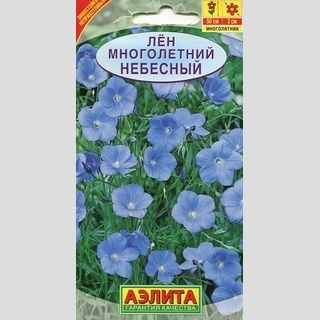 Лен Небесный многолетний