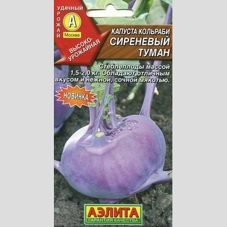 Капуста Сиреневый туман