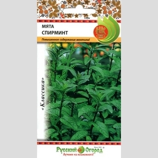Мята Спирминт