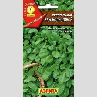 Кресс-салат Крупнолистовой