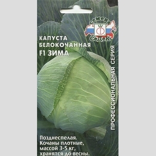 Капуста Зима F1