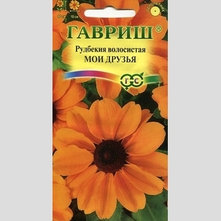 Рудбекия Мои друзья