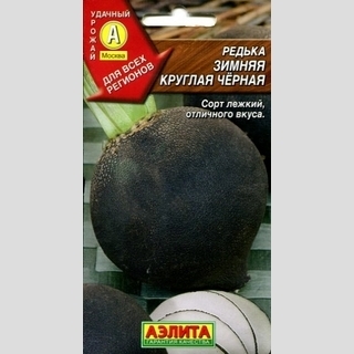 Редька Зимняя круглая черная