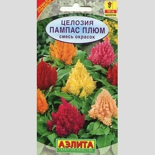 Целозия Пампас Плюм, смесь