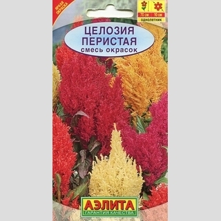 Целозия Перистая смесь