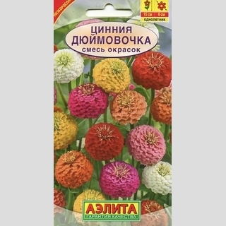 Цинния Дюймовочка, смесь