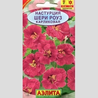 Настурция Шери Роуз