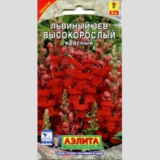 Львиный зев Высокорослый красный